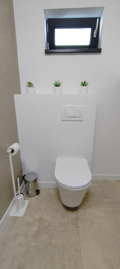 Casira Guesthouse Sînmartin المظهر الخارجي الصورة